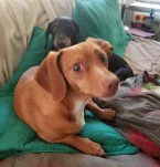 Zach and Teddy 20190703 133334